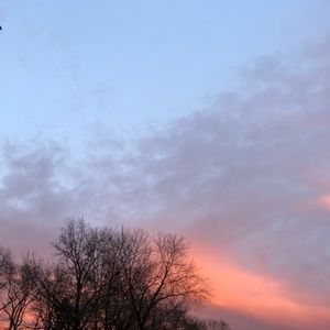 Meet your Posher, Jeanelle